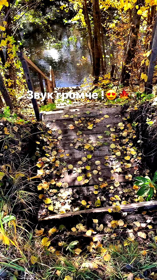 nyityam archive video preview