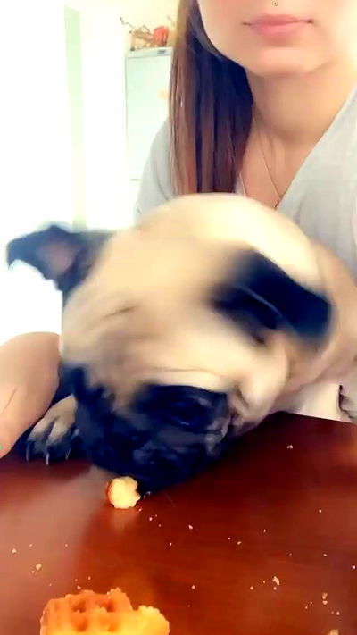 nyityam nyityam archive video