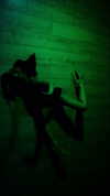suspiria.em Altpins Profile Picture
