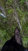 amatveyko Altpins Profile Picture