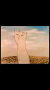 lyra.car Altpins Profile Picture