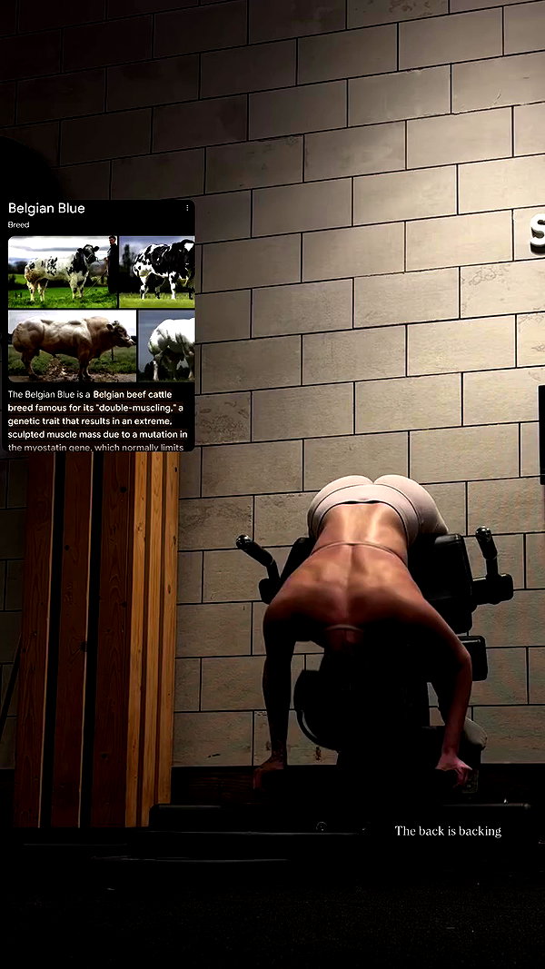 b.zohar archive video preview