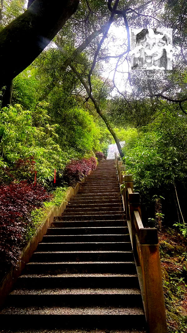 lovemeize archive video preview