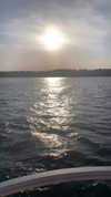 elsgatti Altpins Profile Picture