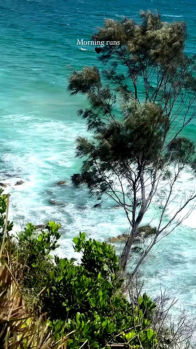 taylor.creeden taylor.creeden archive video