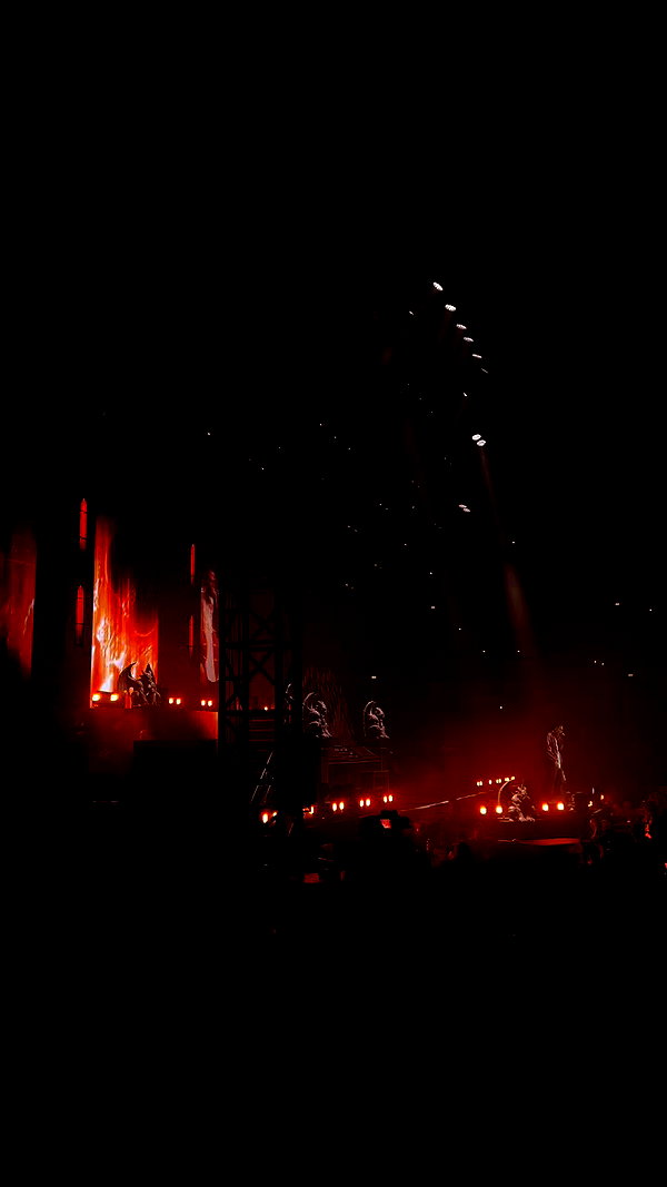 giulia_tosini_ archive video preview