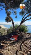 rouxroux.tv Altpins Profile Picture