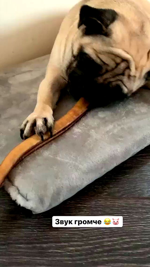 nyityam archive video preview