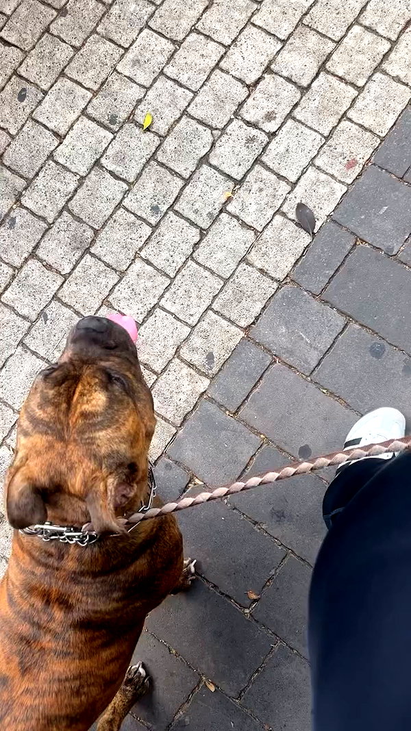 michelleloven_ archive video preview