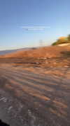mishel_d_ Altpins Profile Picture