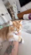 itsilanosh Altpins Profile Picture