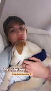 gabbyepstein Altpins Profile Picture