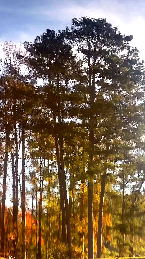 elizabethcampbelljones archive video preview