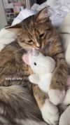 brain_eaterr Altpins Profile Picture