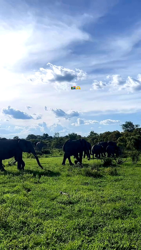 caseyjamess_ archive video preview