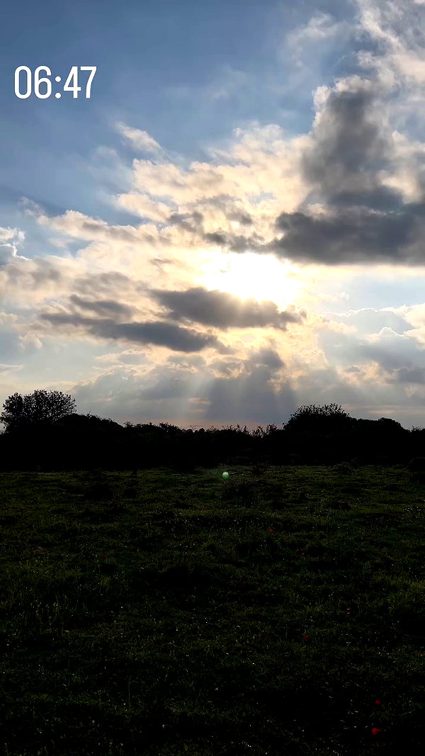 _.shelichka._ archive video preview