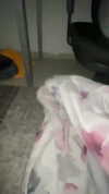 dante_yangpa Altpins Profile Picture