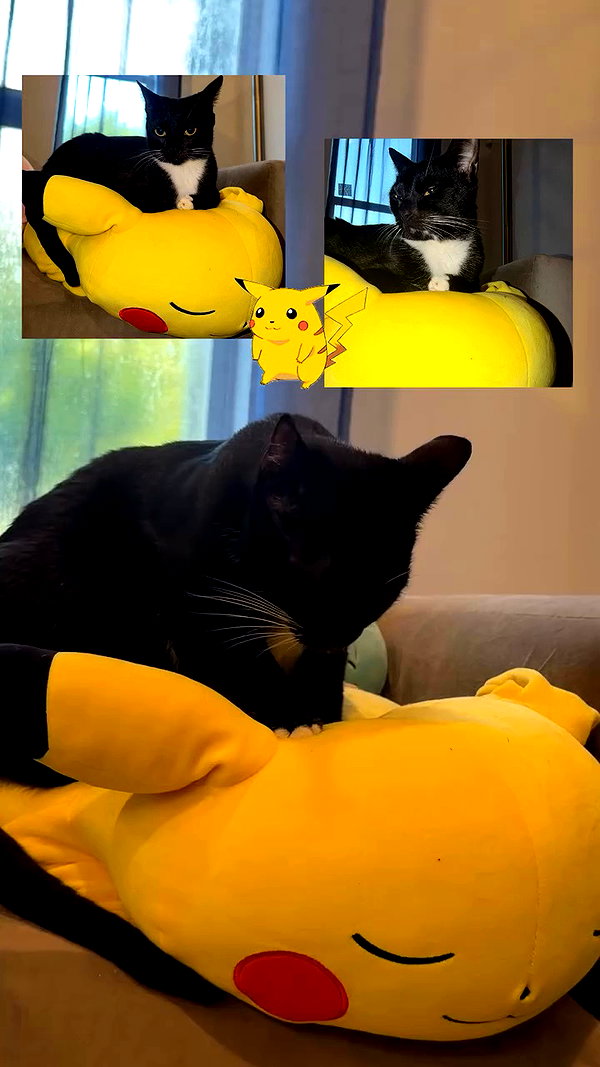 pikakaty archive video preview