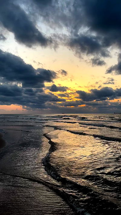 noa_zemlyanski noa_zemlyanski archive video