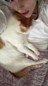 strawberryshanz Altpins Profile Picture