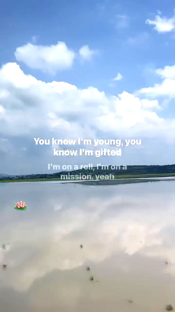 crystalcarti archive video preview