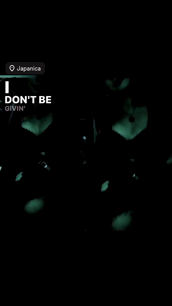 _allvi.pansk archive video preview