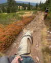 karin_orhov Altpins Profile Picture
