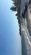 gissell_eli Altpins Profile Picture