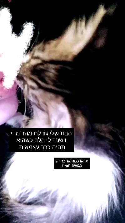 moonyyyya moonyyyya archive video