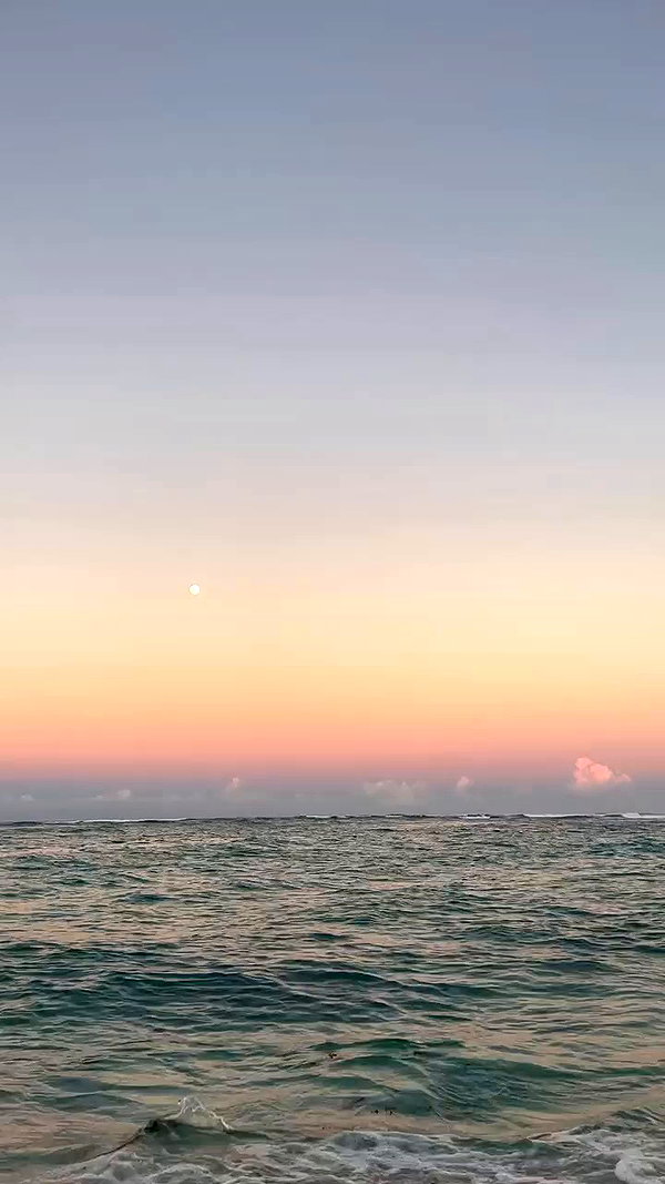 nicollefigueroaa archive video preview
