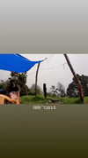 maycohen8 Altpins Profile Picture