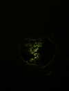 vasian_life Altpins Profile Picture