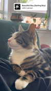 jahia_brown Altpins Profile Picture