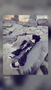 9unxx7 Altpins Profile Picture