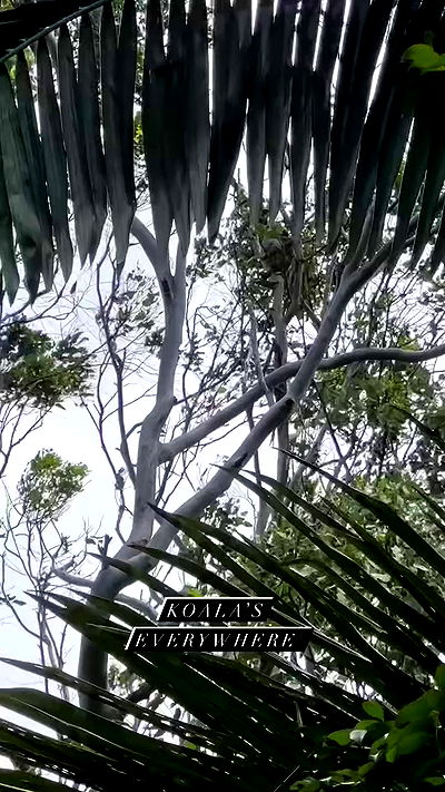 taylor.creeden taylor.creeden archive video