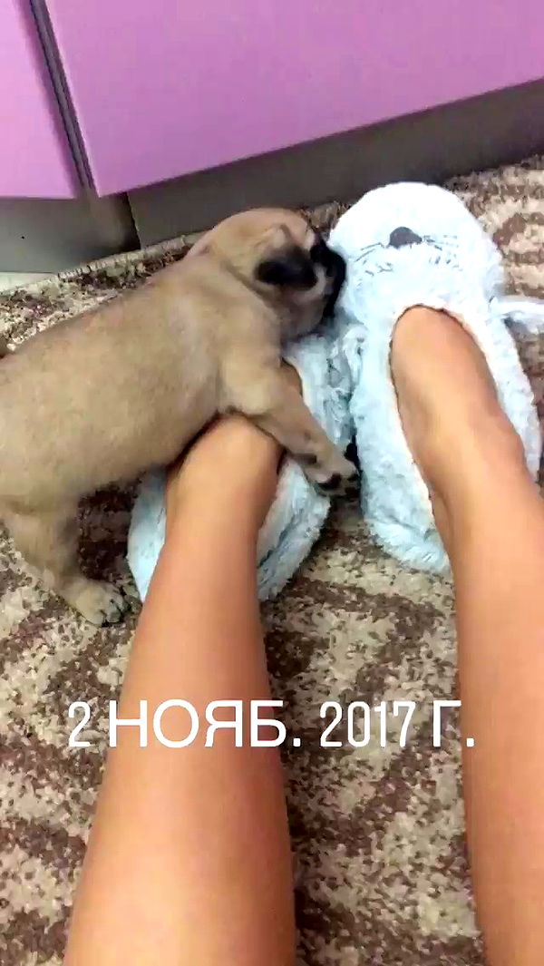 nyityam archive video preview