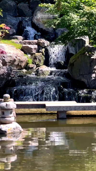 taylor.creeden taylor.creeden archive video