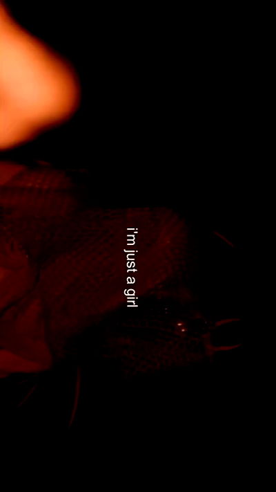 feelbetterinmysweater feelbetterinmysweater archive video