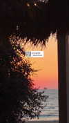tinapavlov.sky Altpins Profile Picture