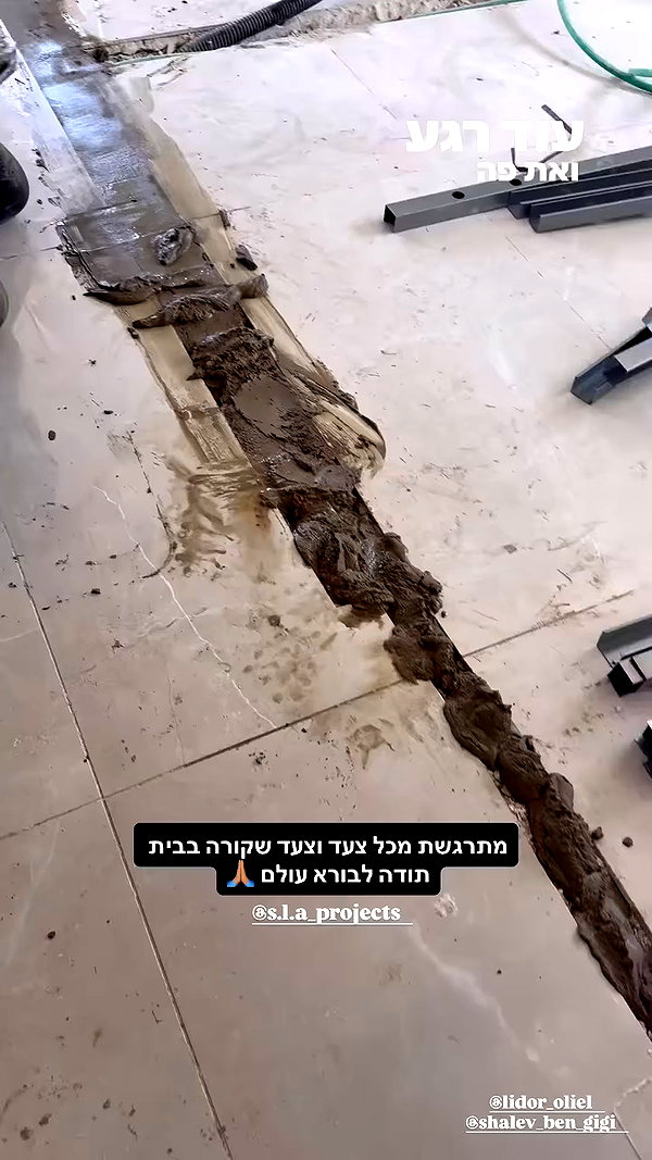 shahar__hauon archive video preview