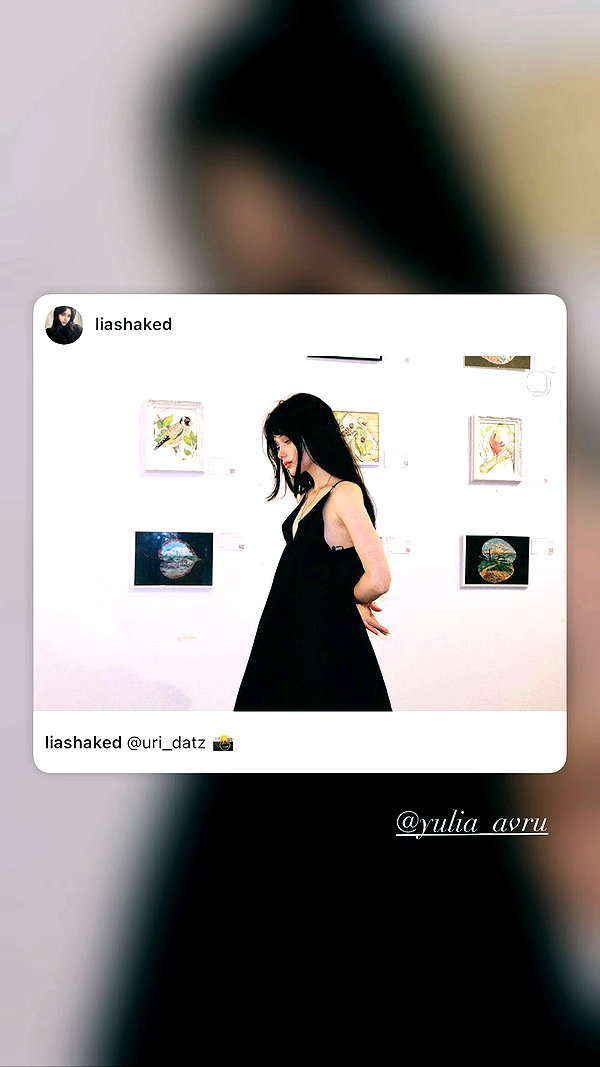 liashaked archive video preview