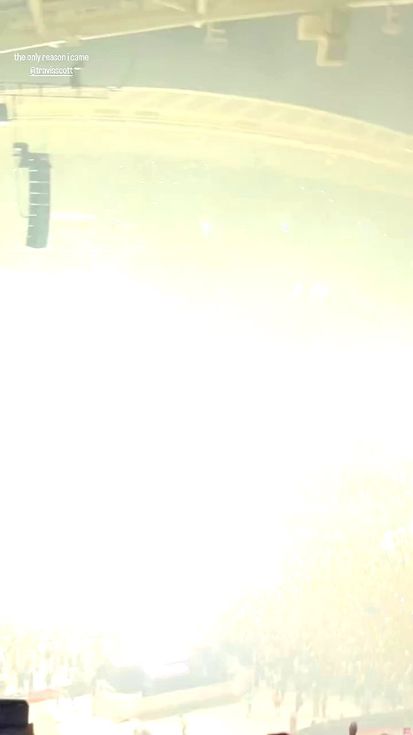 fungusfr0g archive video preview