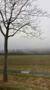 nikolpeleg Altpins Profile Picture