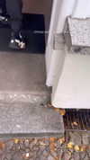 _kybelle Altpins Profile Picture