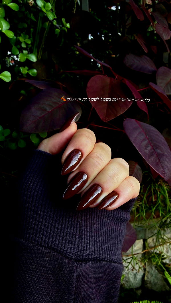 topaz_bn archive video preview