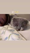 275.cn Altpins Profile Picture