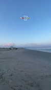 mishel_d_ Altpins Profile Picture