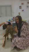 _lironatias Altpins Profile Picture