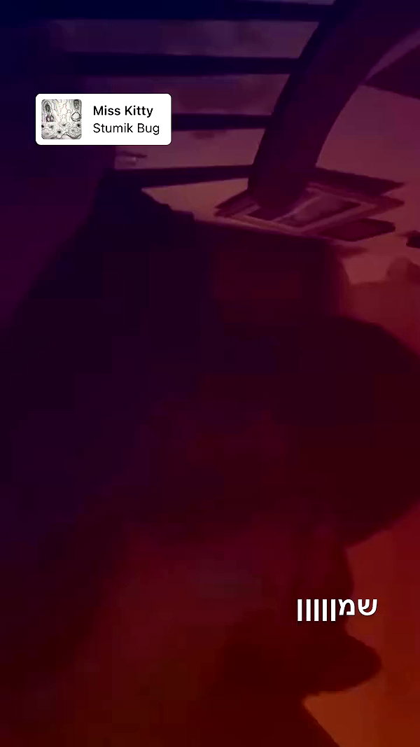 inbal.p420 archive video preview