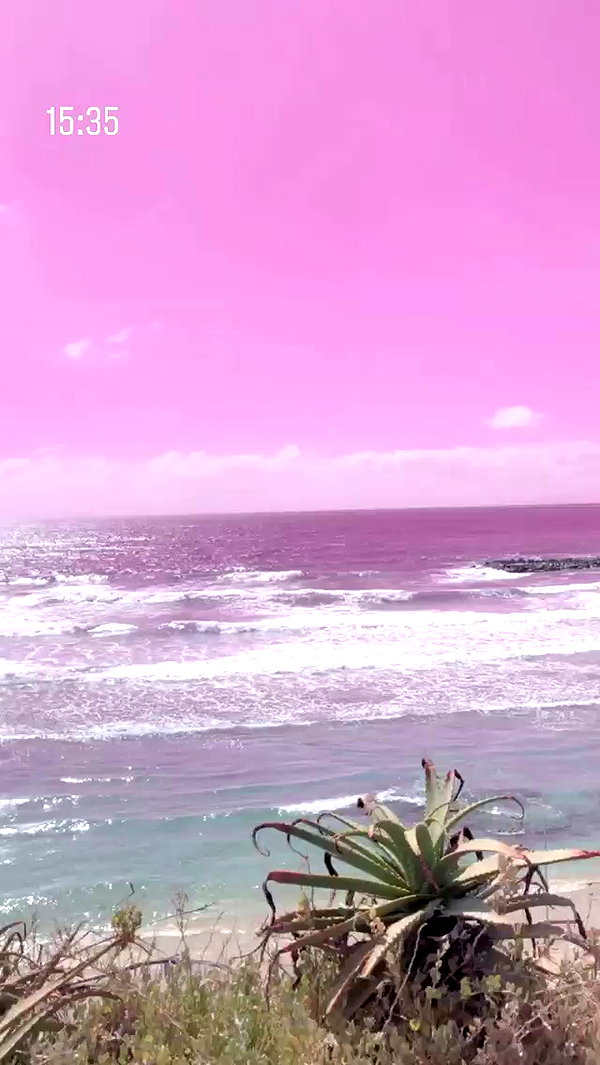 sonia_litvanchuk archive video preview